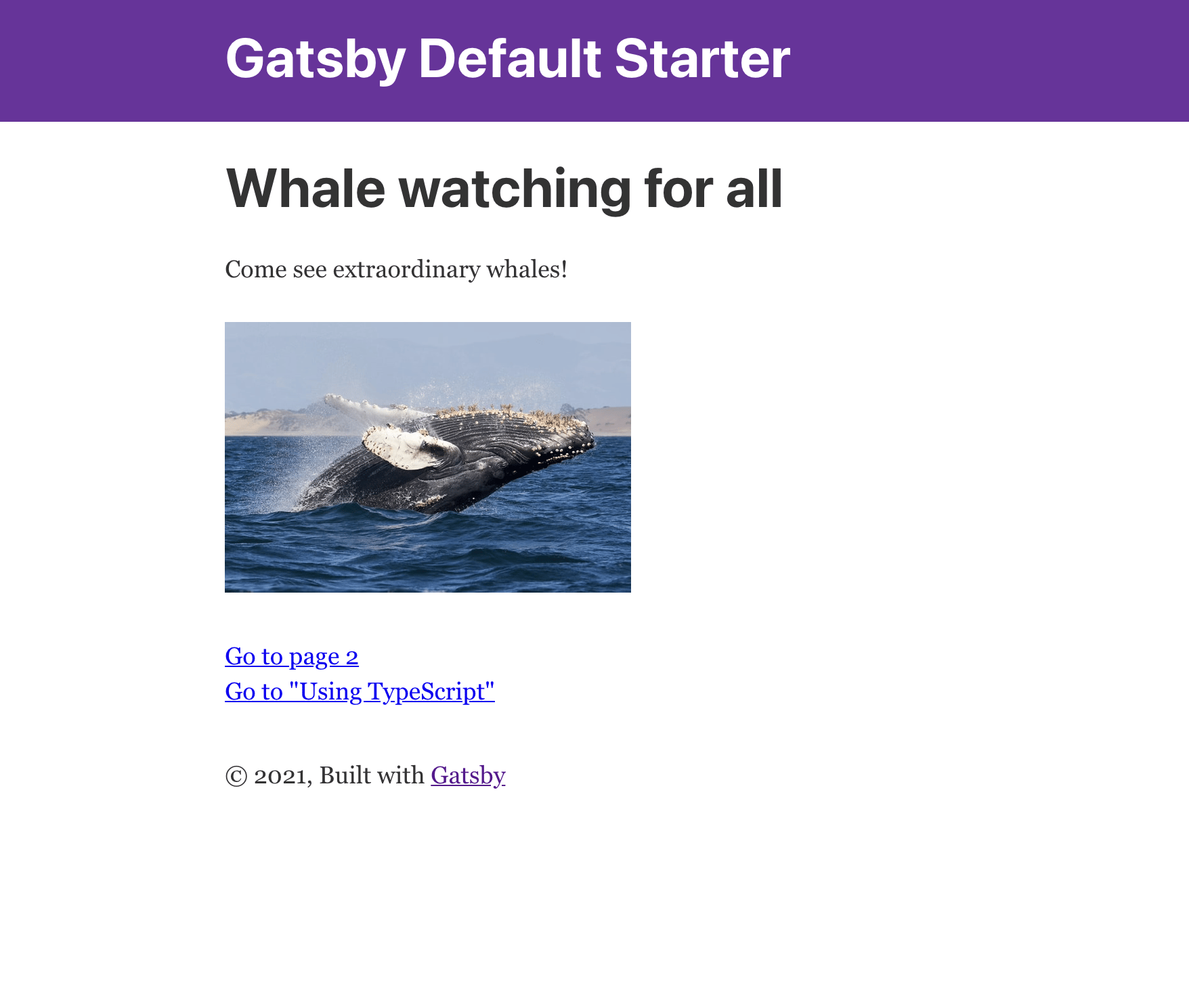 Gatsby site with whale image and text.
