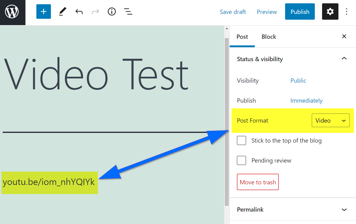 Screenshot showing the WordPress post editor with a YouTube URL in the body of the post, and the post format type set to Video