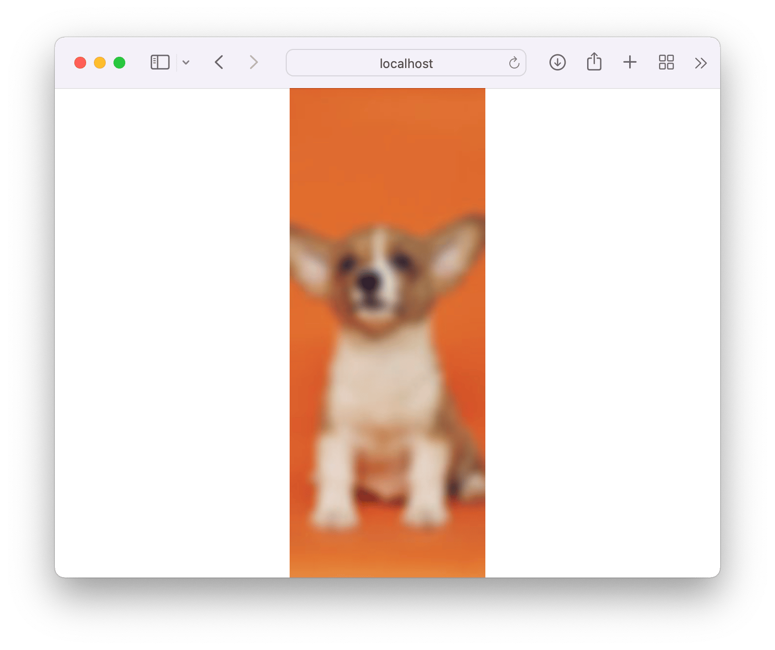 Screenshot of resized puppy image with blur effect