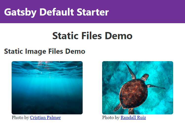 Screenshot showing that the demo images are now side-by-side, in a row, and with a space between them