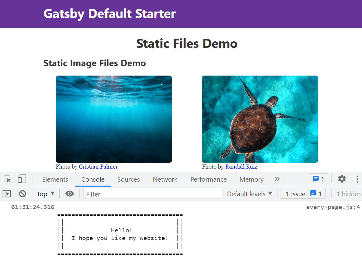 A browser with the demo page loaded, with the console message from showing up in the JavaScript console.