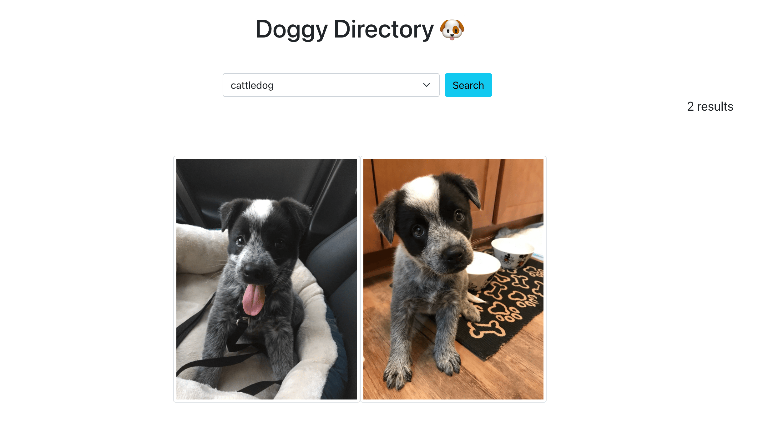 Image results display