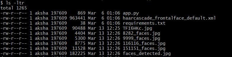 Directory Listing