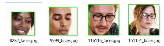 Extracted Faces