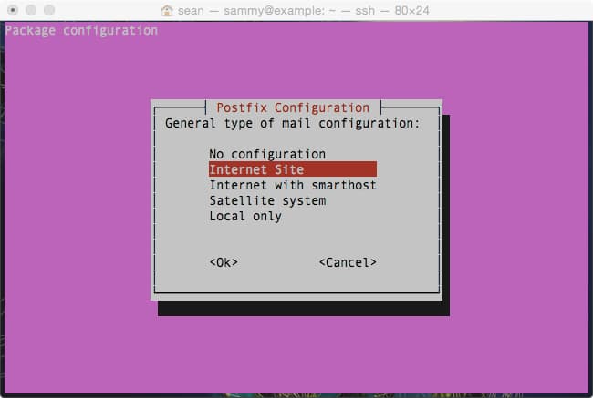 Select Postfix Mail Server Type: Internet Site