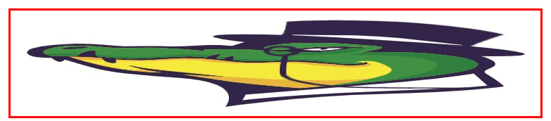 Stretched Image