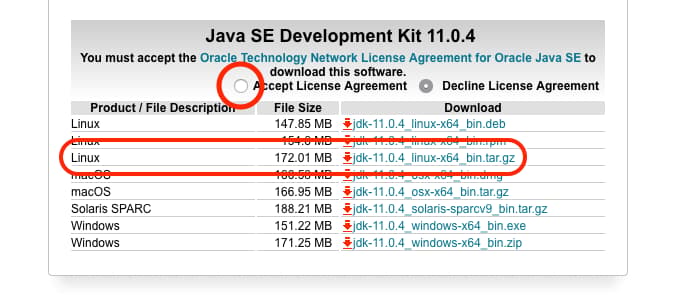 a screenshot of the Java download options