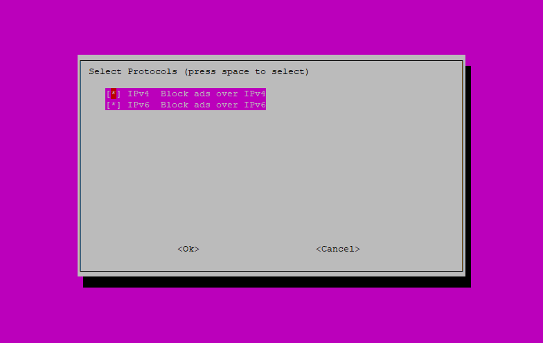 Step 7: Pi-hole Installation Script