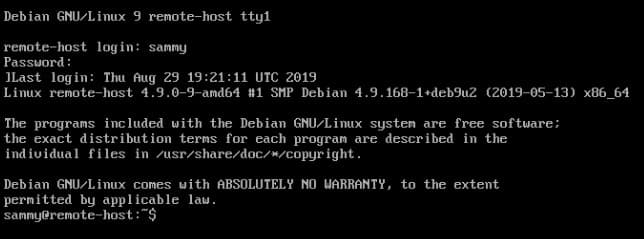 DigitalOcean Droplet Console
