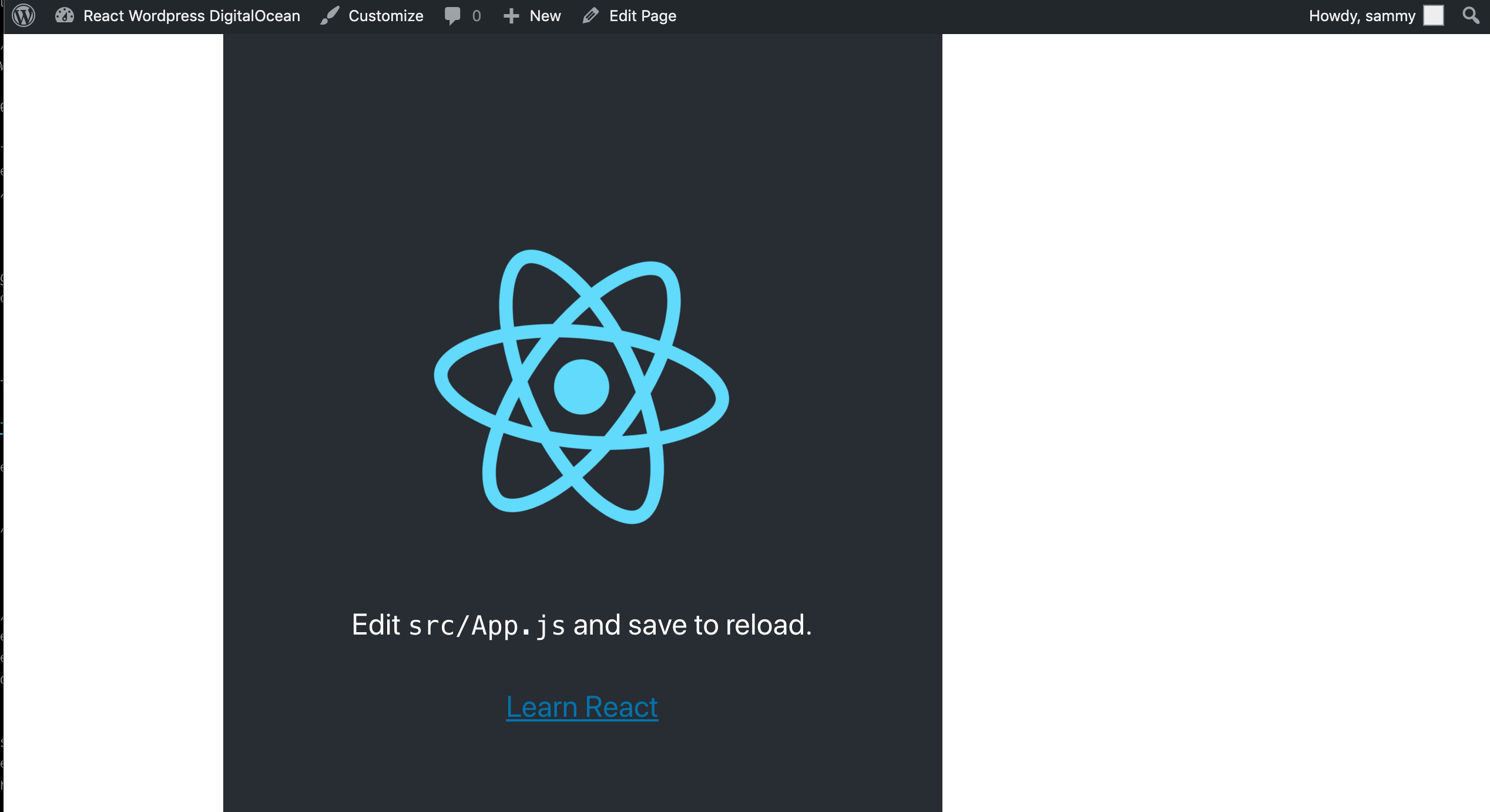 Working React App