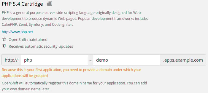 Set the domain name
