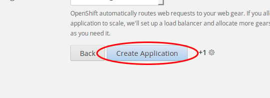 Click "Create Application"