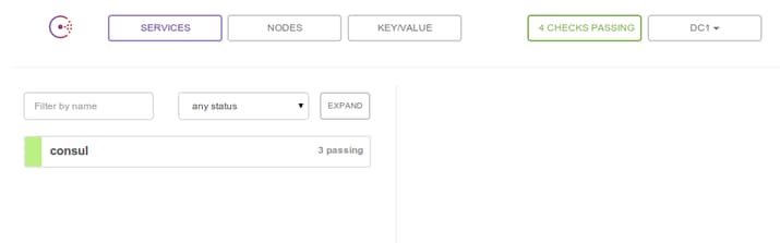 Consul web UI landing page