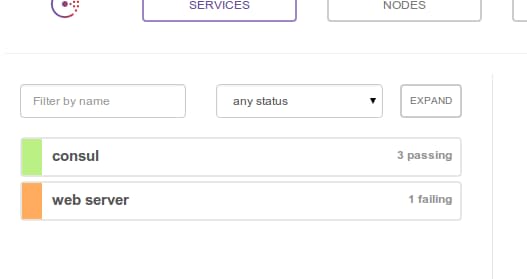 Consul intro failed service