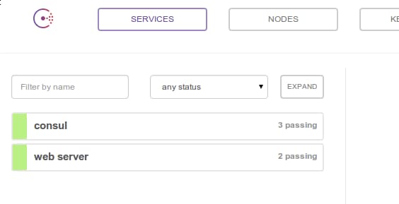 Consul intro service