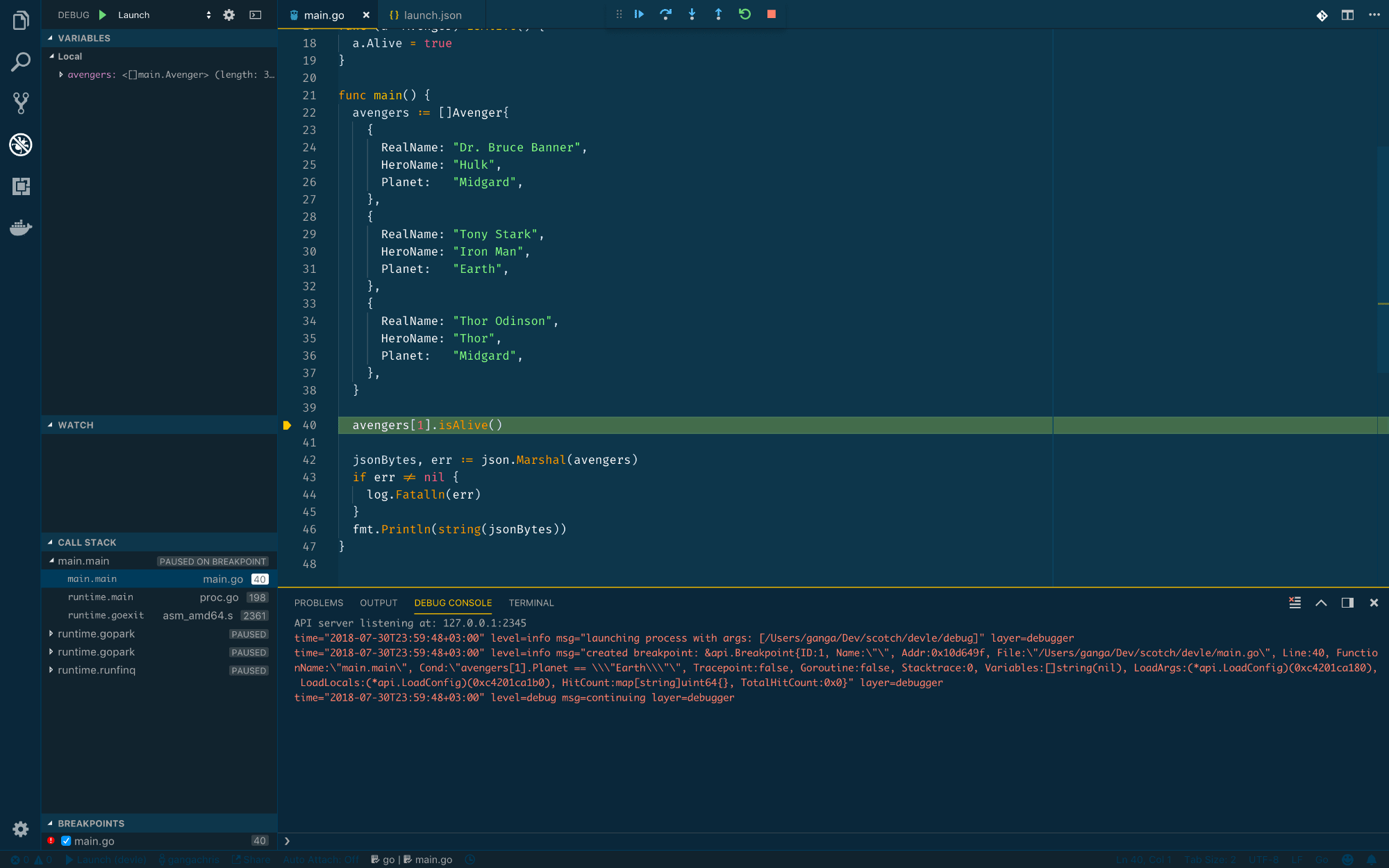 Debug View, no JSON displayed