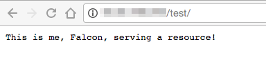 The Falcon is now proxied through Nginx