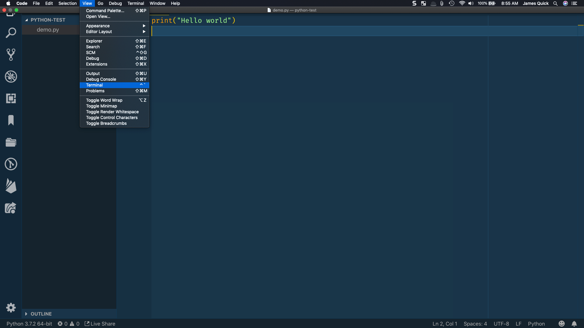 View menu open with Terminal selected