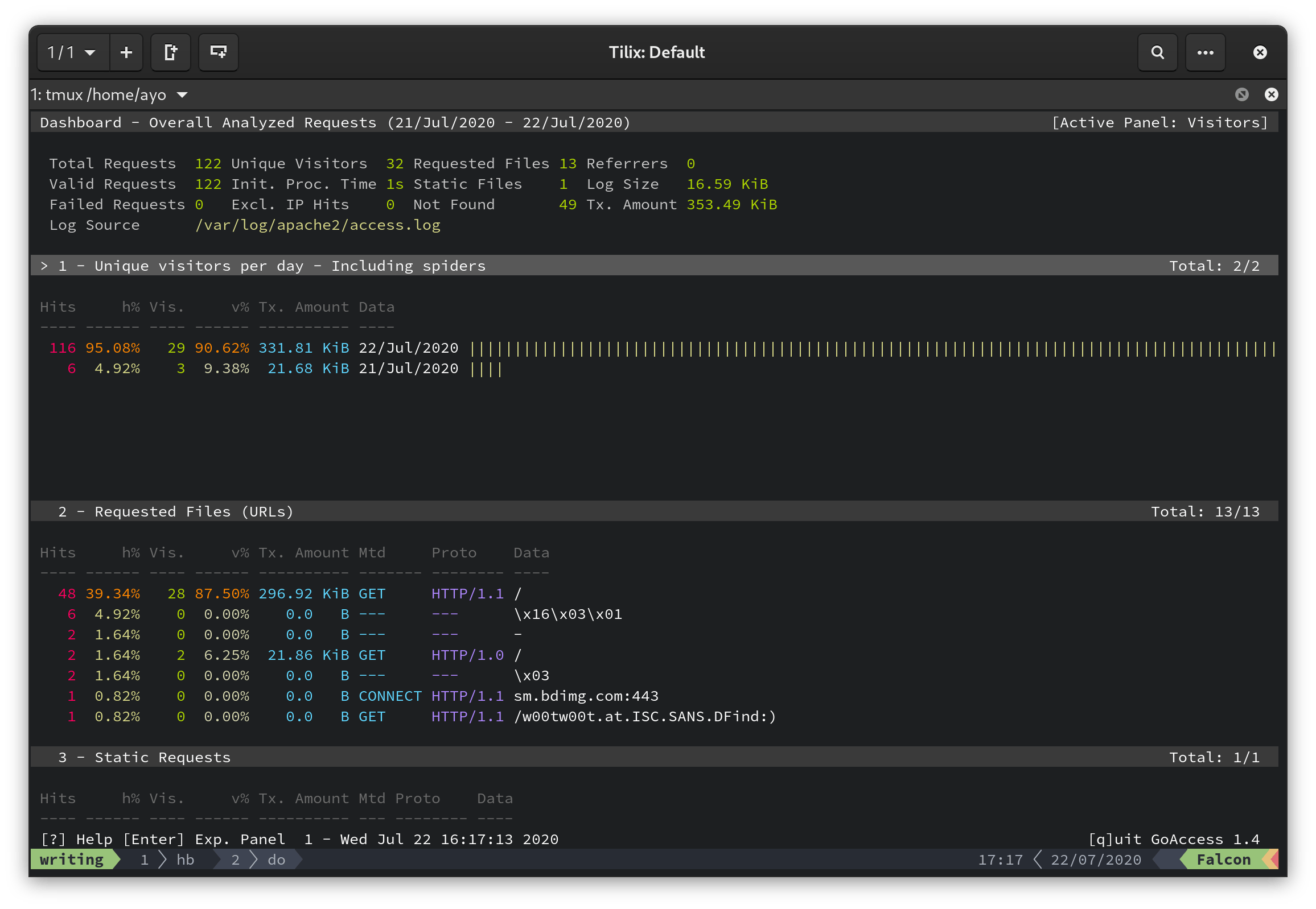 GoAccess command-line dashboard interface