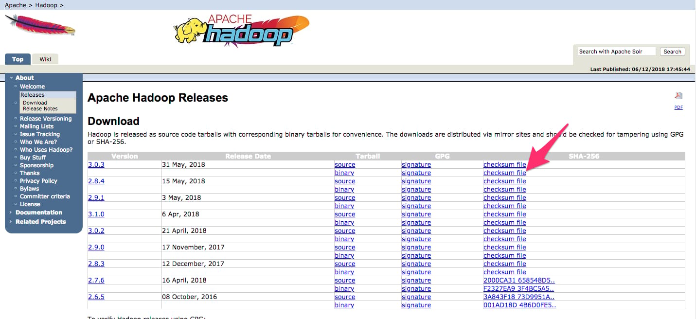 Screenshot highlighting the .mds file