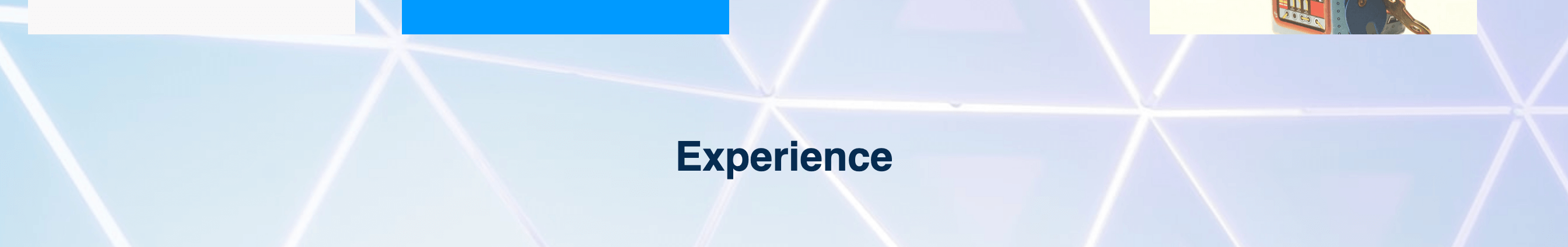 Screenshot of “Experience" heading on demonstration website