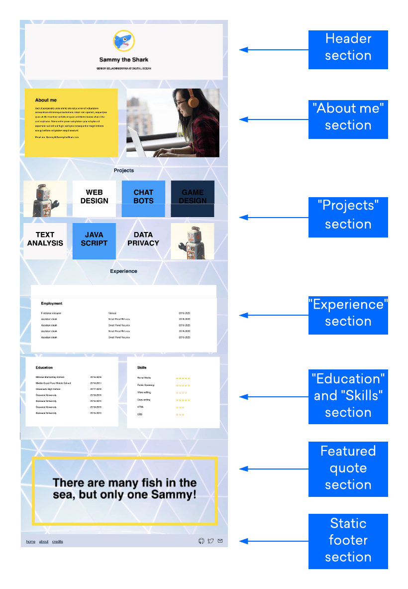 Illustration of the demonstration website’s sections