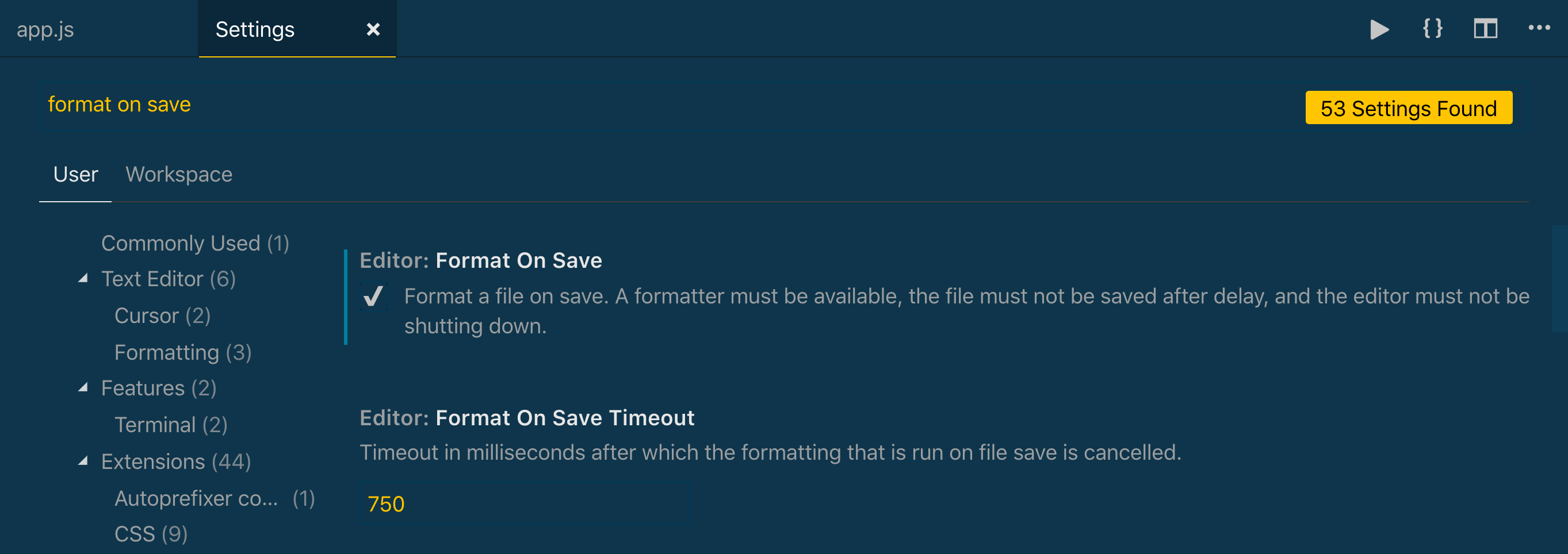 Editor: Format On Save coché