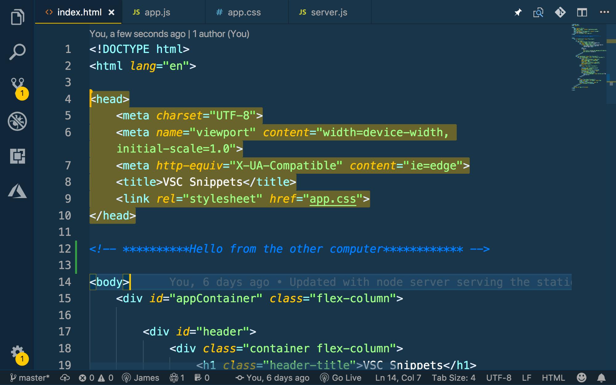 An example of highlighted lines of code visible to the other user