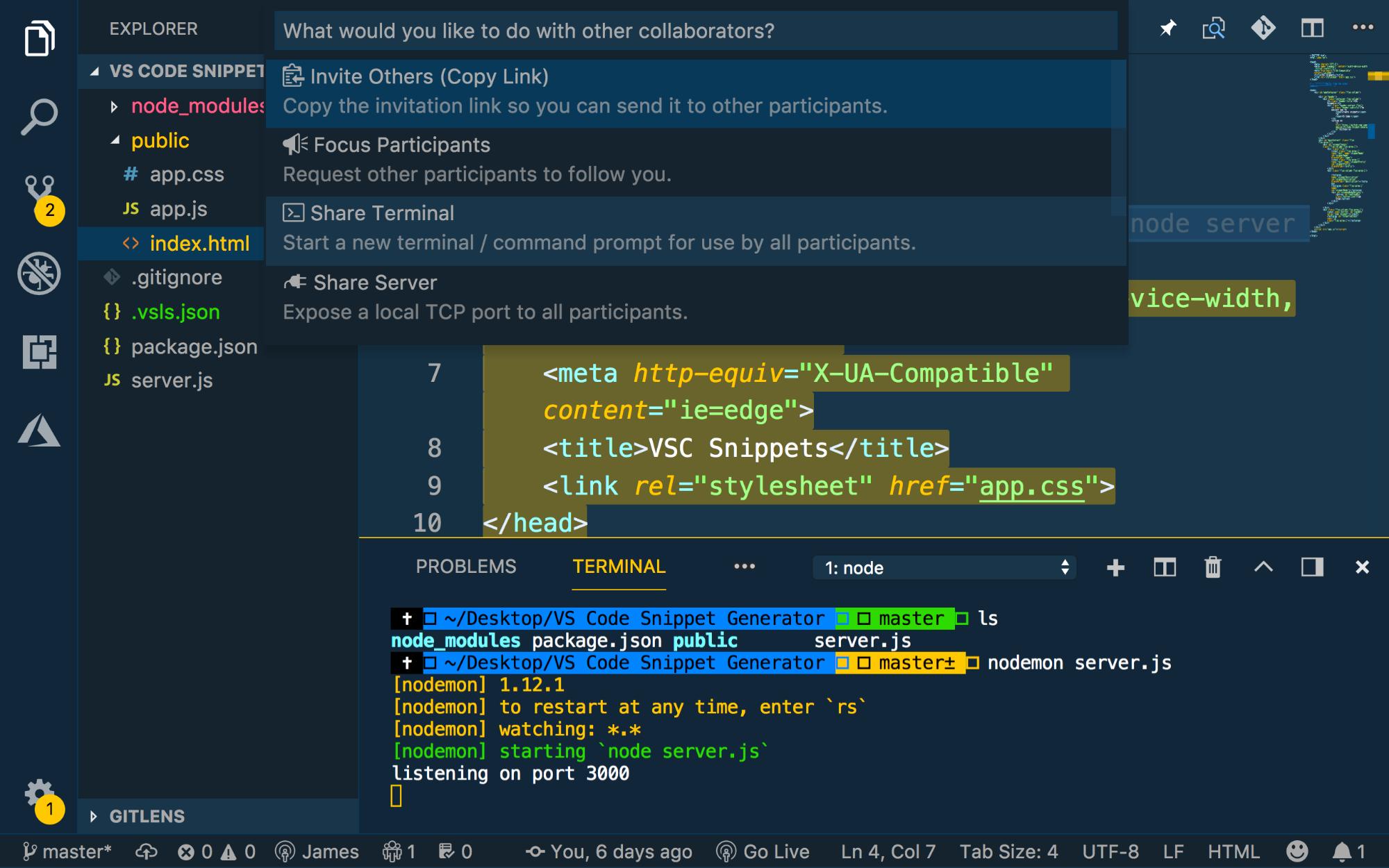 Command Pallete open with Share Terminal selected