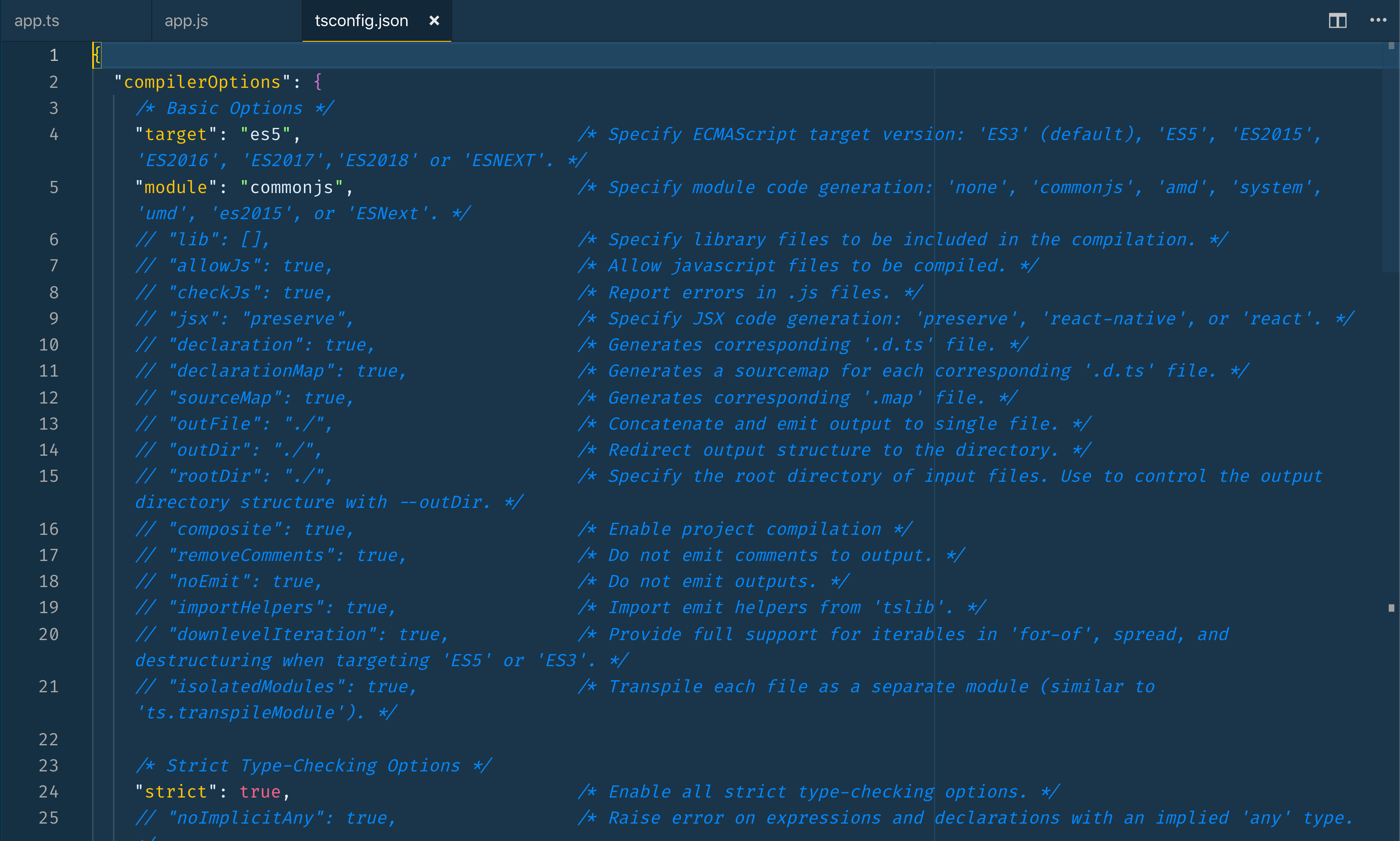 Screenshot of options listed and commented out in the new config file