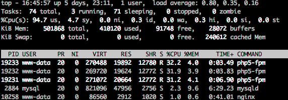 Max CPU Top Output