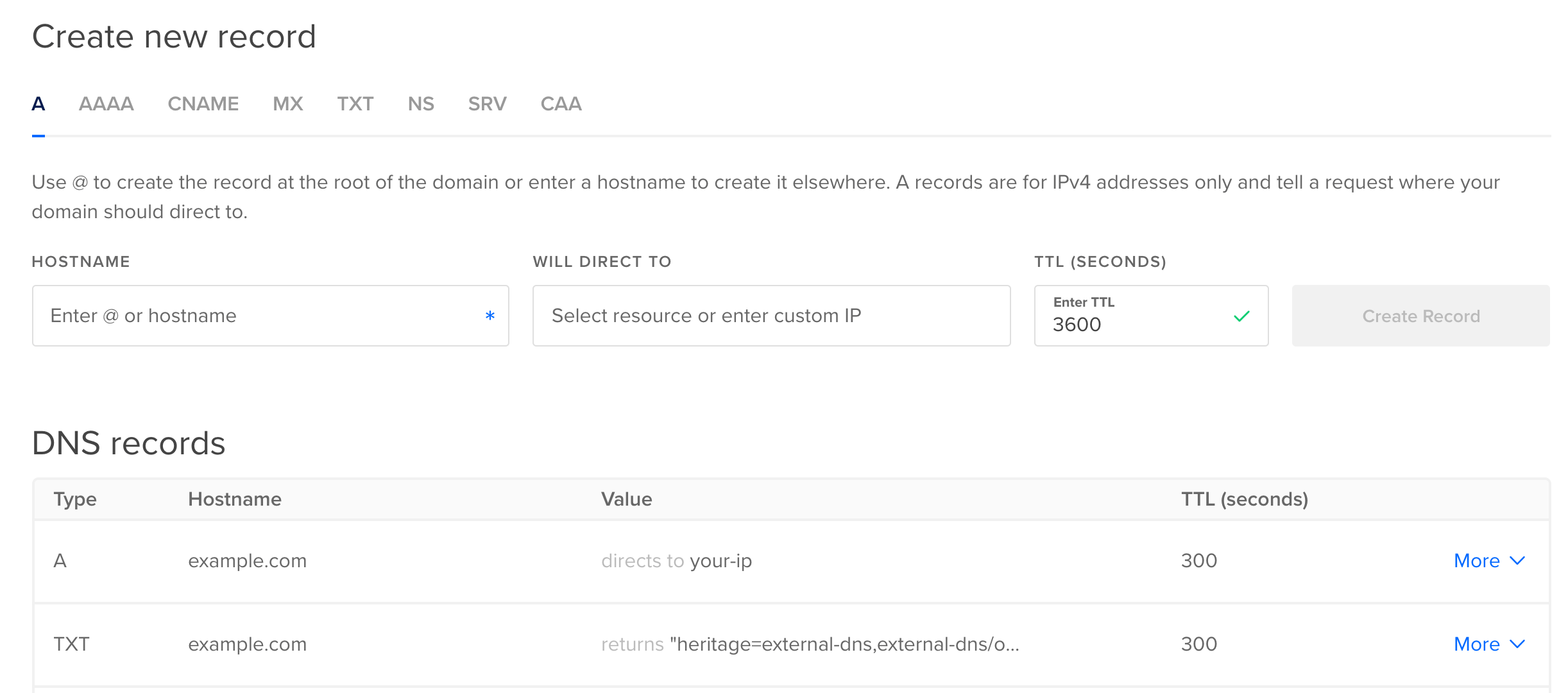Control Panel - Generated DNS Records