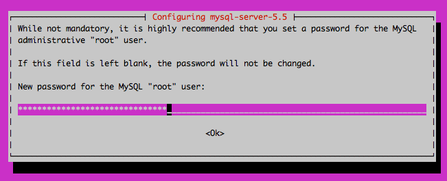 Set MySQL root password