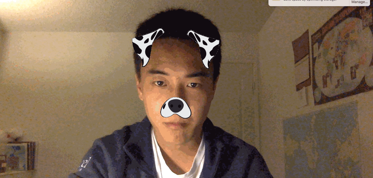 A working dog filter
