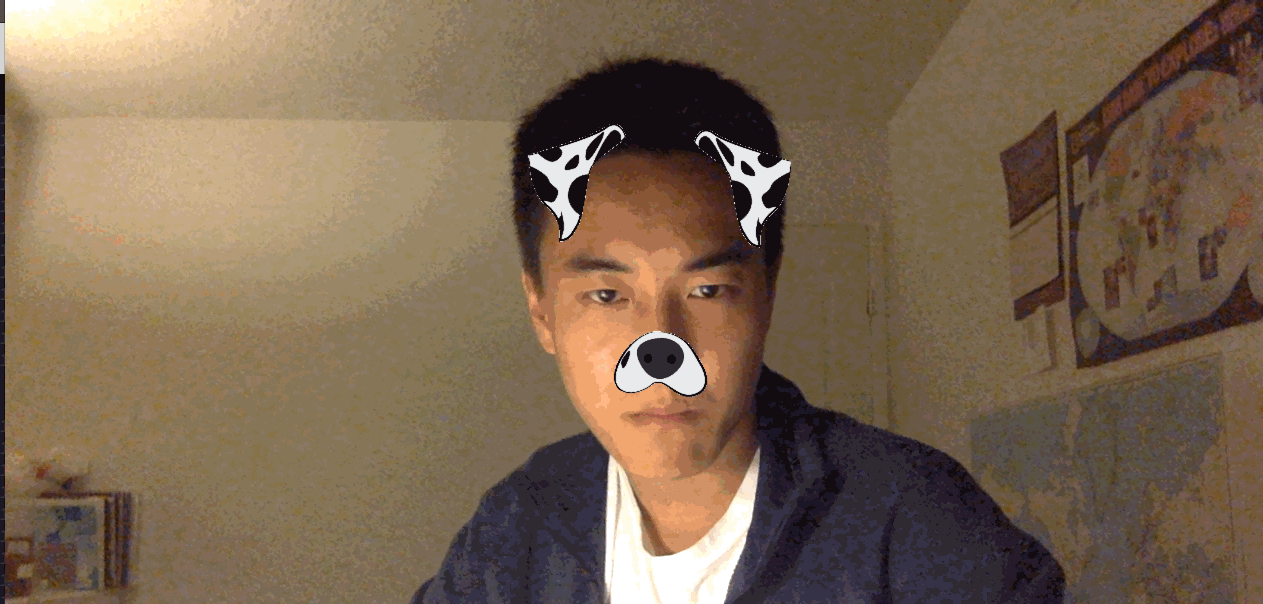 GIF for emotion-based dog filter