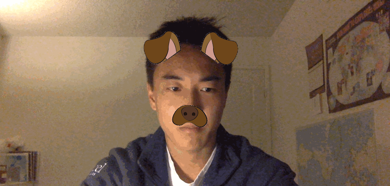 GIF for working dog filter