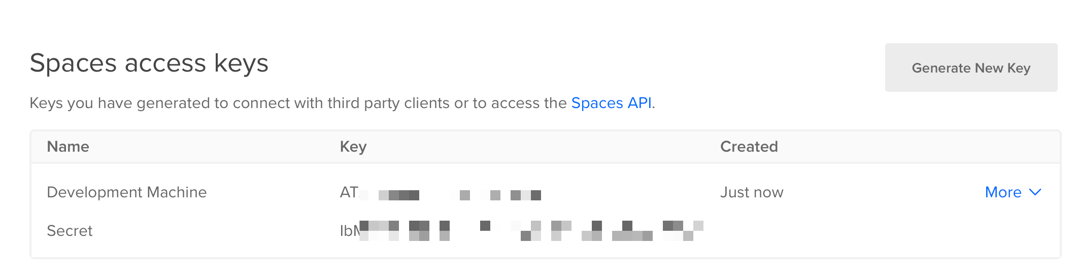 A screenshot showing a Spaces access key