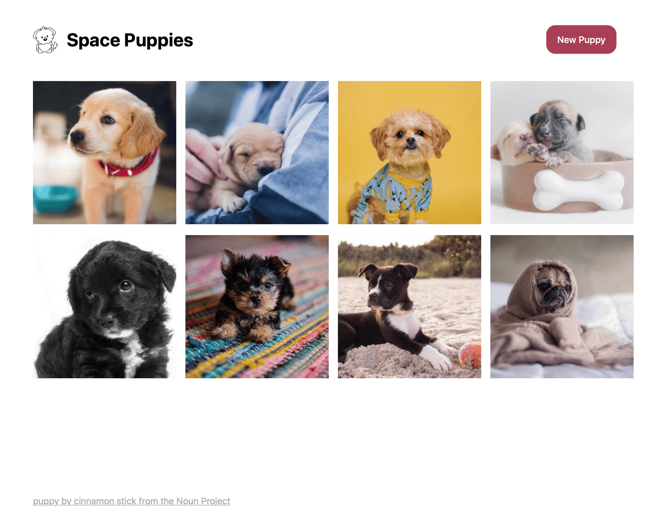 The Space Puppies application running in a web browser
