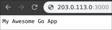 Your containerized Go App