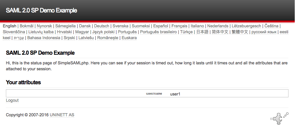 The successful Demo page