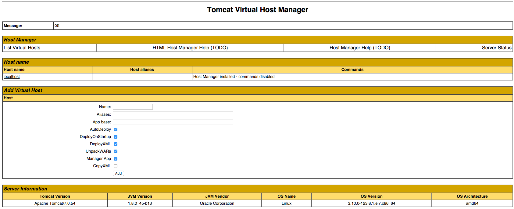 Tomcat Virtual Host Manager