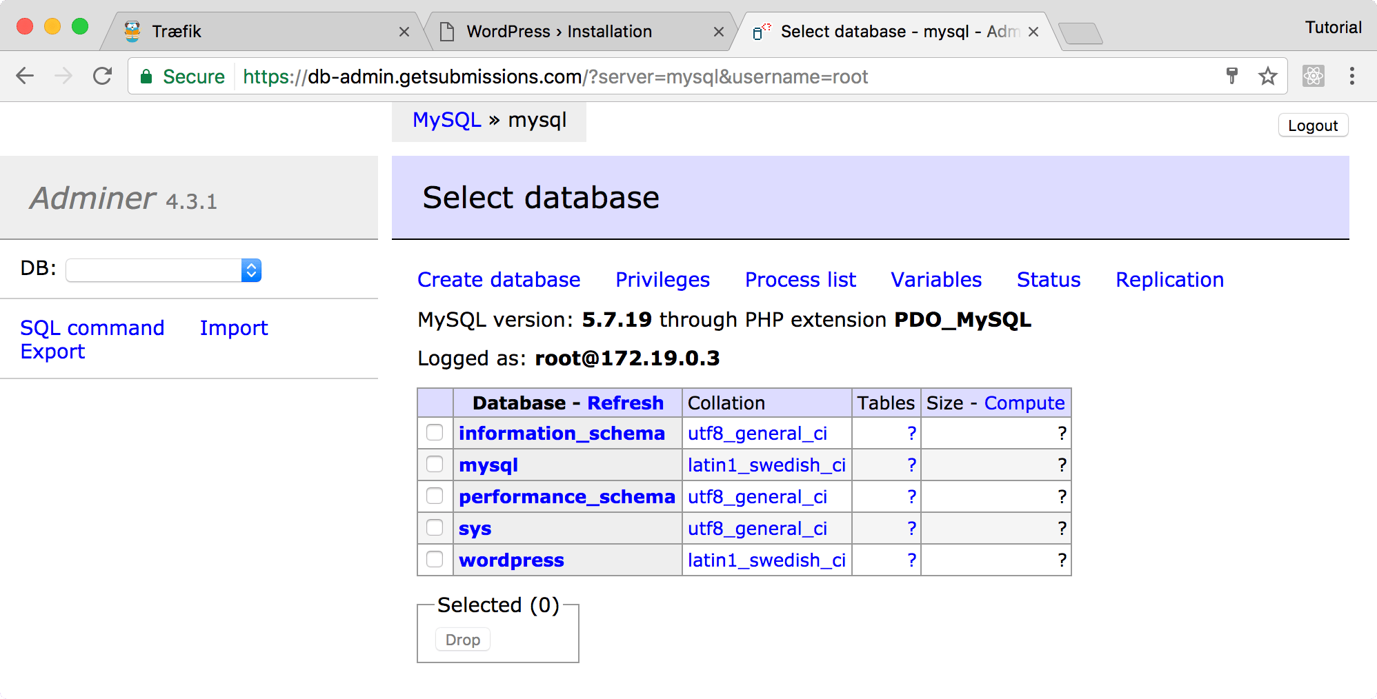 Adminer connected to the MySQL database