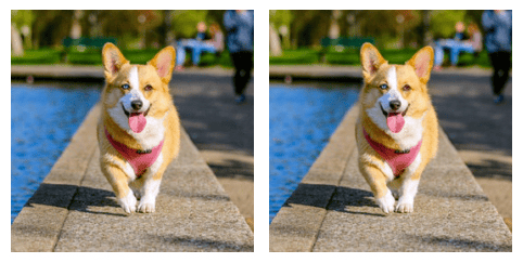 (left) Corgi as goldfish, adversarial, (right)Corgi as itself, not adversarial