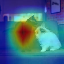 A visualization that highlights pixels that the model used