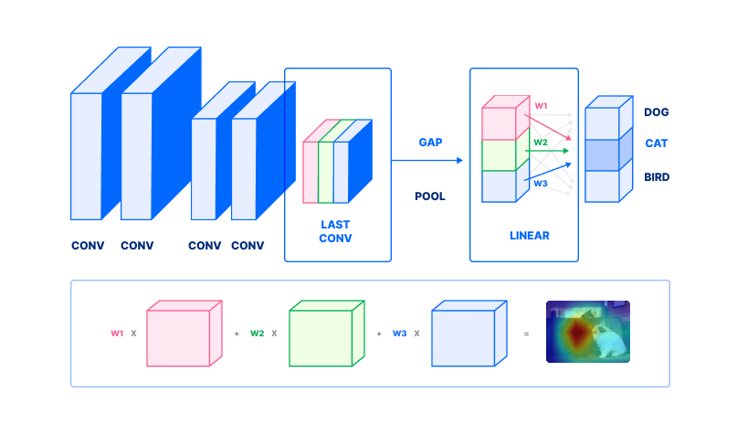 Diagram of how class activation maps are computed from an image classification neural network.