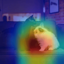 Saliency map superimposed on top of the original image