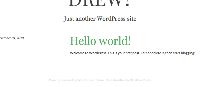 WordPress new theme