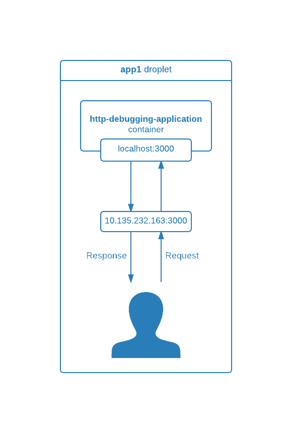 Debugging application container visualisation