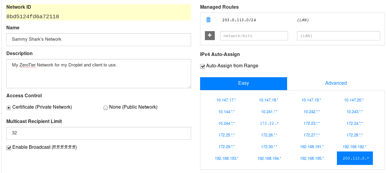 Конфигурация настроек ZeroTier