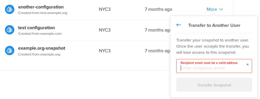 Transfer_Snapshot